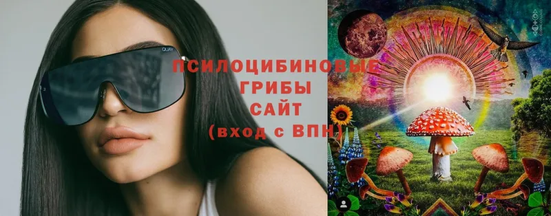 Галлюциногенные грибы Cubensis  ссылка на мегу зеркало  Обнинск 